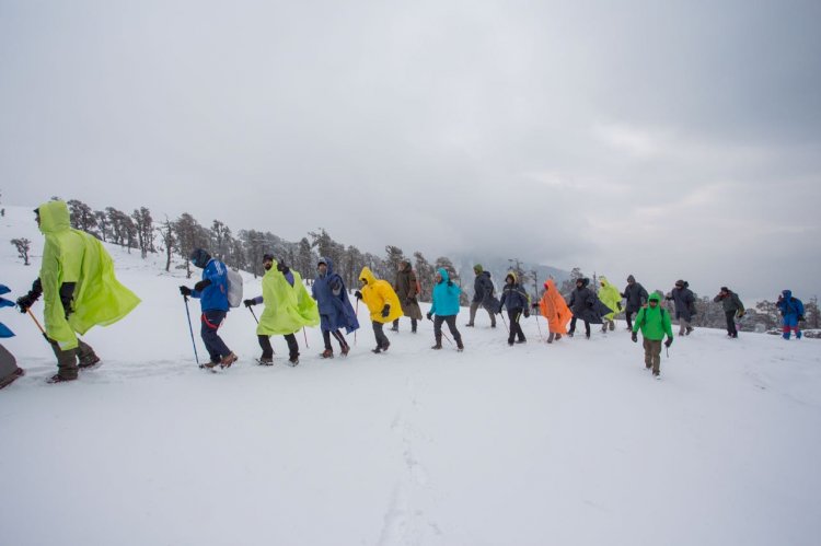 Trekking from IT Sector to Himalayas, lead to the Summit of  Startup i.e. Indiahikes