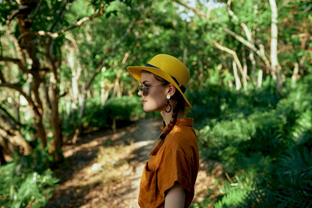 Top Sensational Jungle Safaris To Have Live Experience With Wildlife