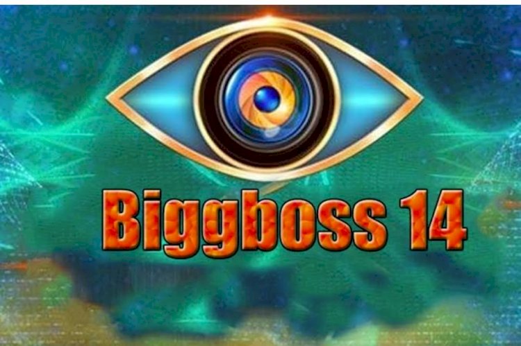 In Season 14 Bigg Boss 2020 Contestants Will Get To Enjoy 'pre-lockdown luxuries' - 