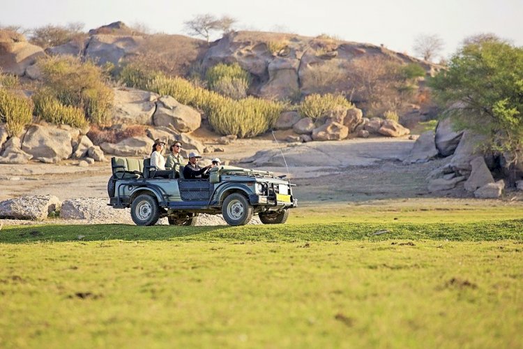 Best Place To Experience The Real Adventure Is Rajasthan Leopard Safari 