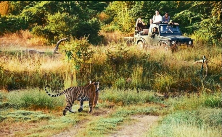 Delight Yourself By Having Tour To  Most Scenic & Sprawling Wildlife Reserve At Kumbhalgarh Wildlife Sanctuary 