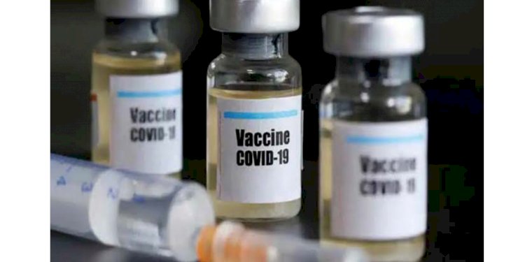 Bharat Biotech Declared The Vaccine Or Dreadful Diseases Will Be Launched By July 2021