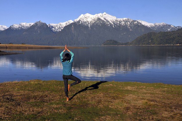 On The Occasion Of International Yoga Day- Many Bollywood Celebs Encourage Fans To Perform Yoga