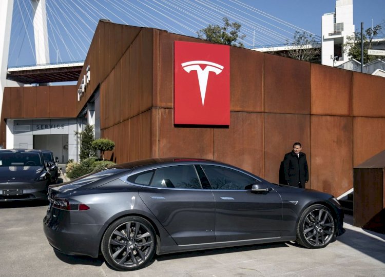 Tesla Will Be Asked To Share Detailed India Manufacturing Plans