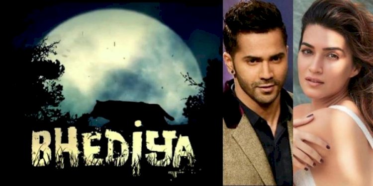 Bhediya: The Eyes Of An Wolf Appear At First Sight, The Film Will Be Released On November 25, 2022